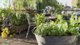 Gardena cs-draadhandveger - Ergonomisch Handgereedschap met Mosbeluchting en Duroblast Coating video - thumbnail
