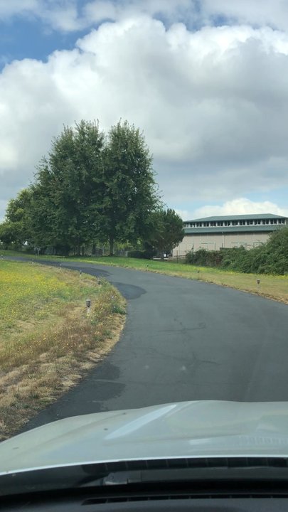 Tappen Hill - Driving into the Tappen Hill property in the month of August. - Pet Sitting Near Me - Sebastopol, California