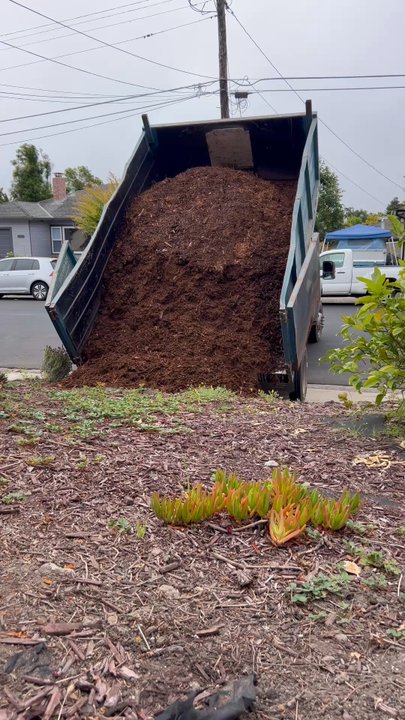 Aptos Landscape Supply - Nurseries & Gardening Near Me - Aptos, California