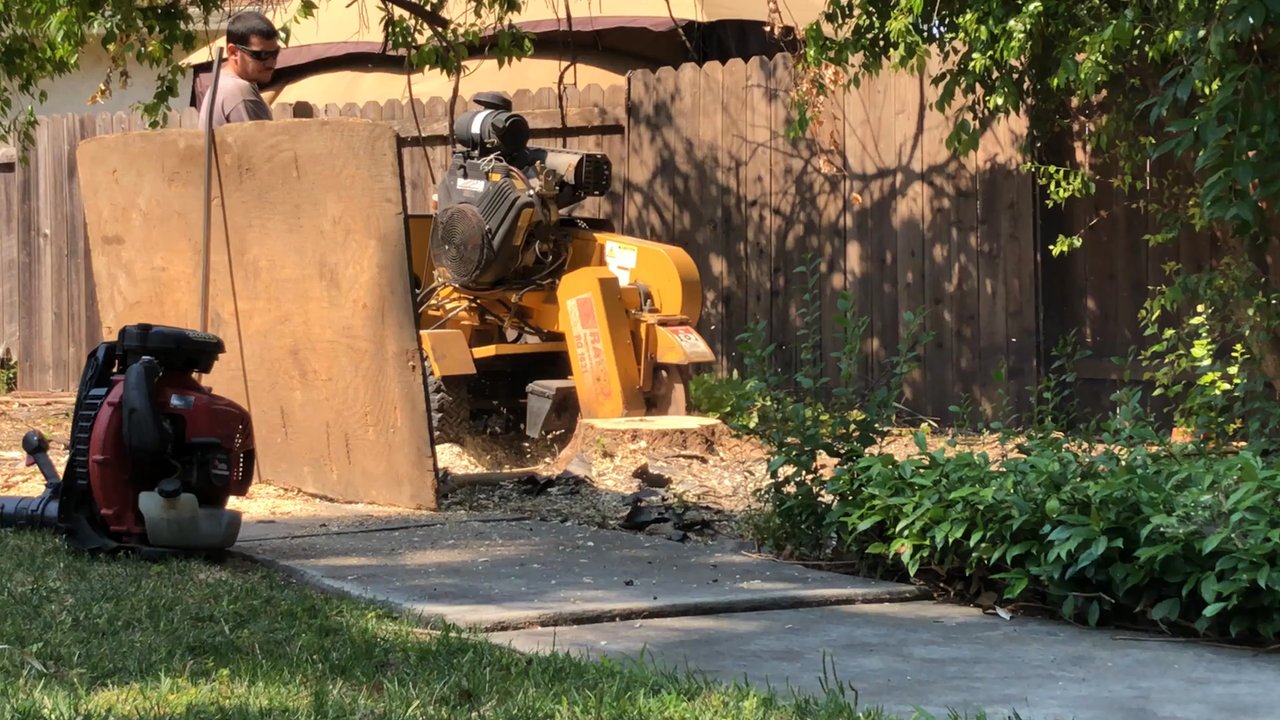 Carrillo's Stump Grinding - Powerful equipment - Tree Services Near Me