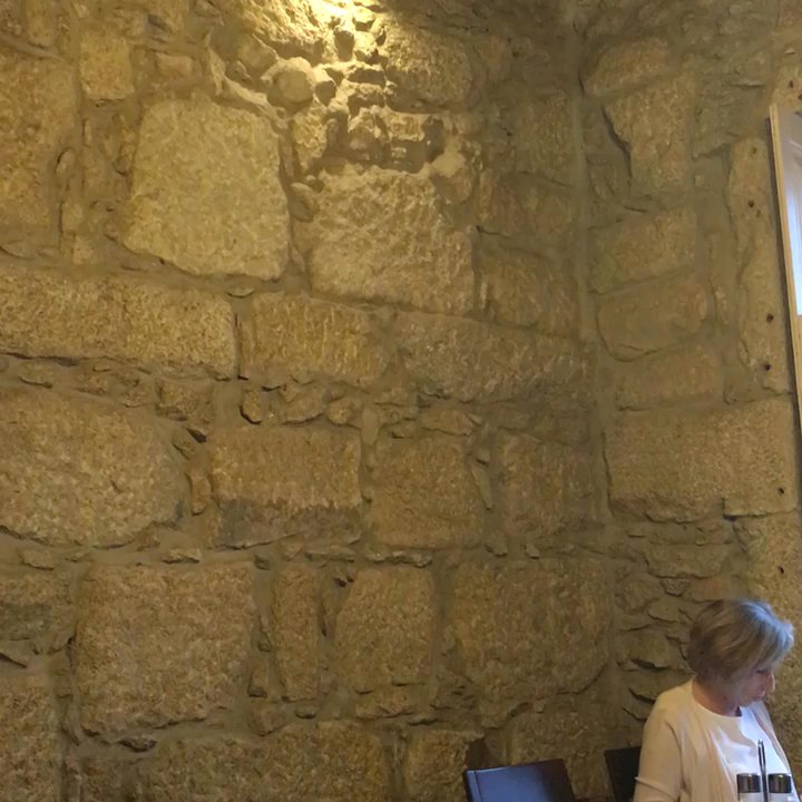 Fish fixe - Flys in the MASS! - Portuguese Near Me - Porto, 13