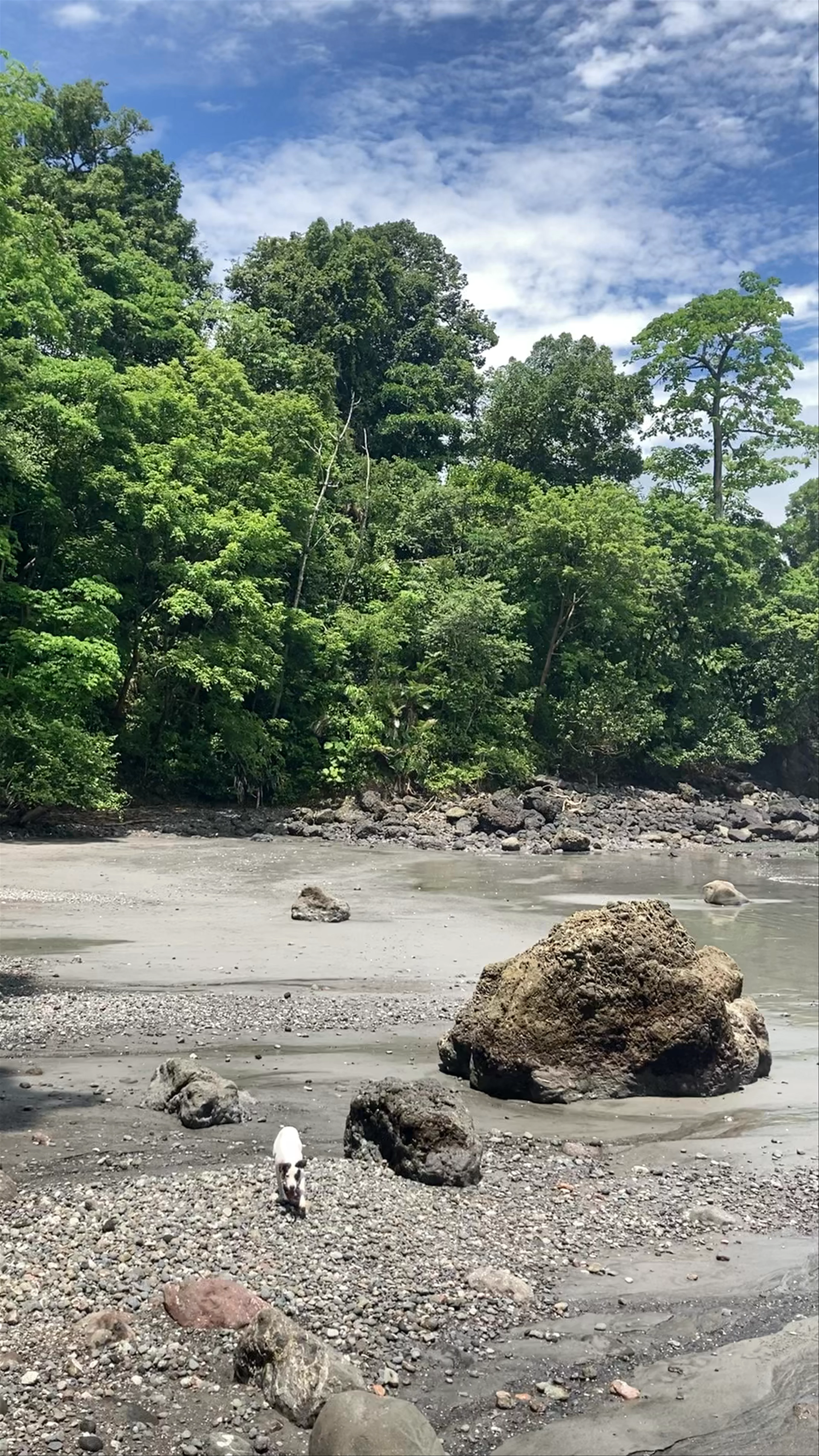 Playa La Macha