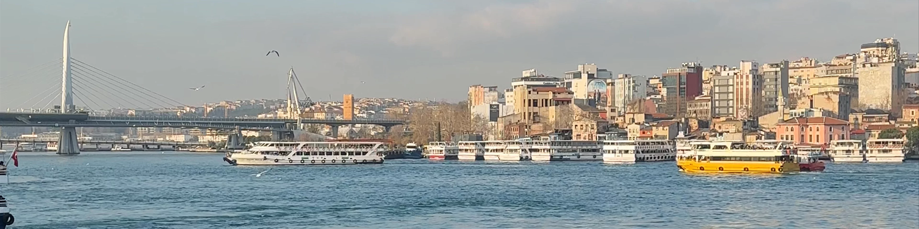 Rüstem Paşa
