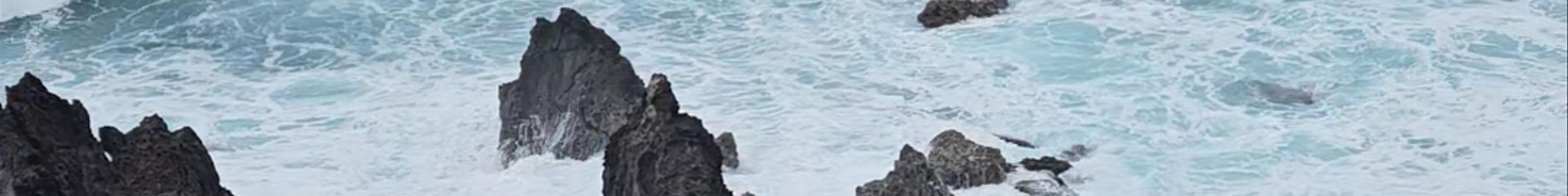 Tours & experiences in Saint Kitts and Nevis