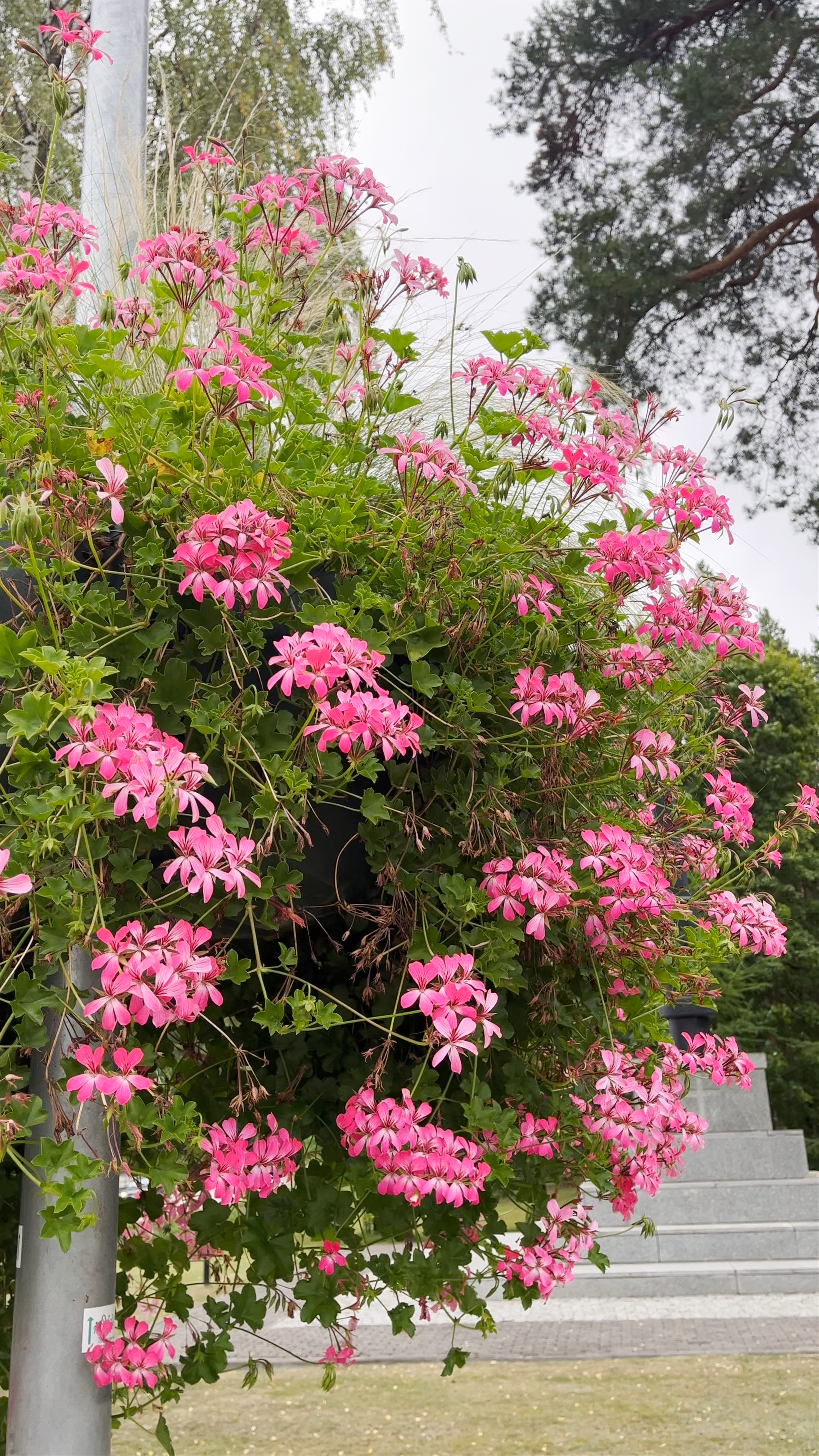 Līvāni Liberation Monument