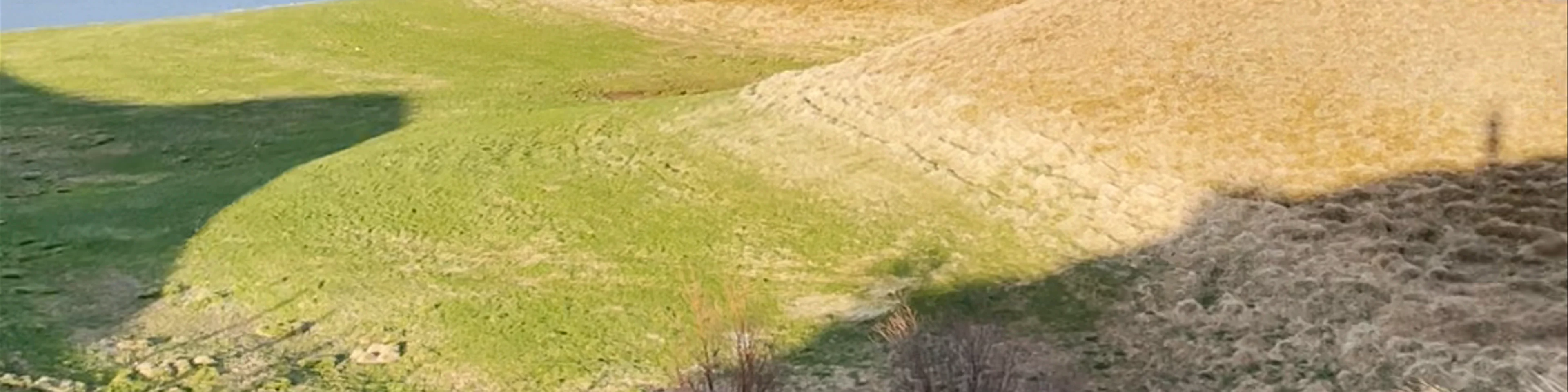 Skútustadagrig pseudo craters