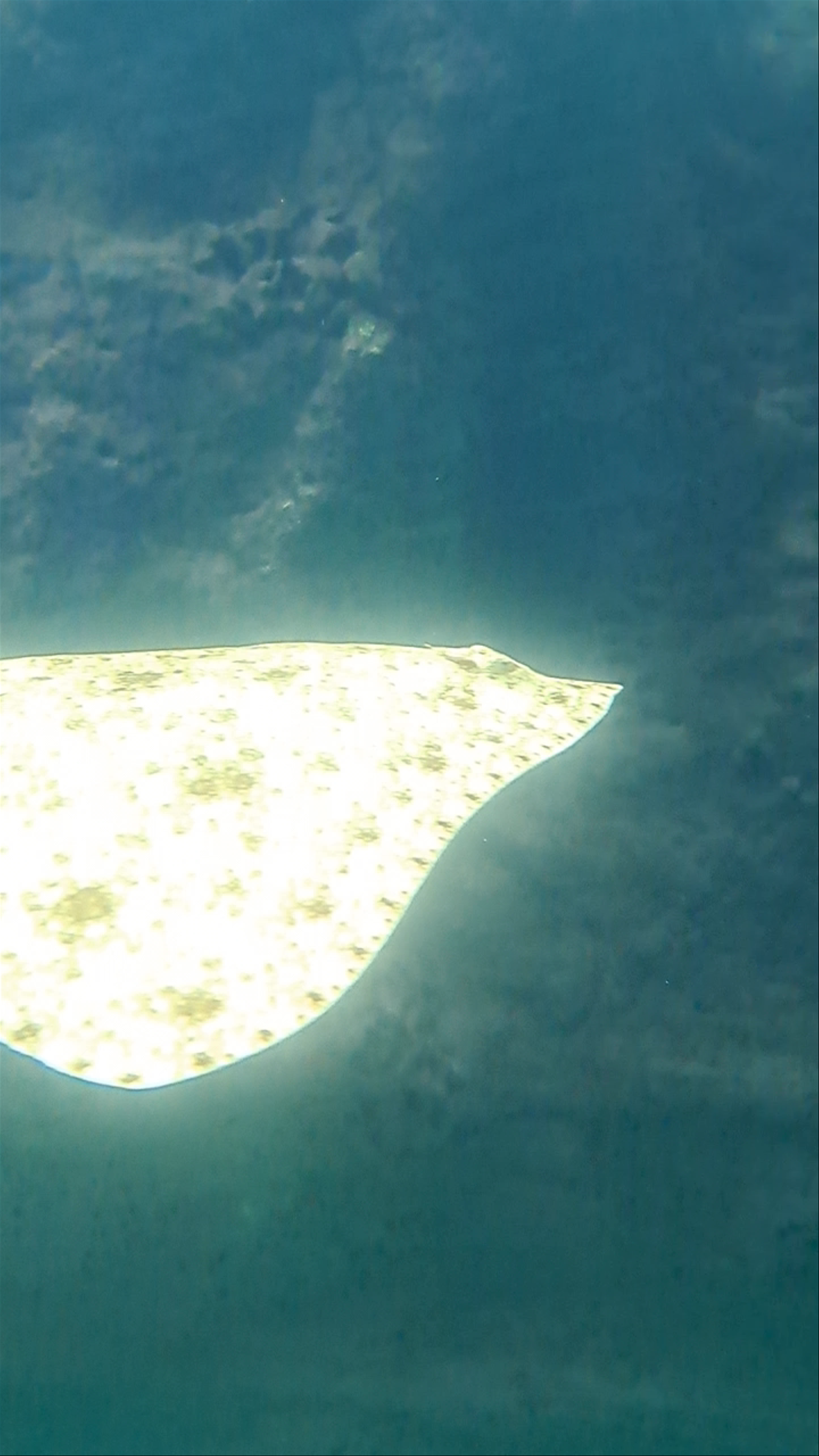 CRETAquarium Thalassokosmos