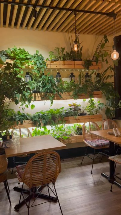 Coco Thai Bistro - Thai Near Me - Narberth, Pennsylvania