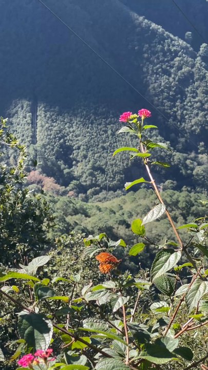 Parque Ecológico Chipinque - Hiking Near Me - Monterrey, NLE