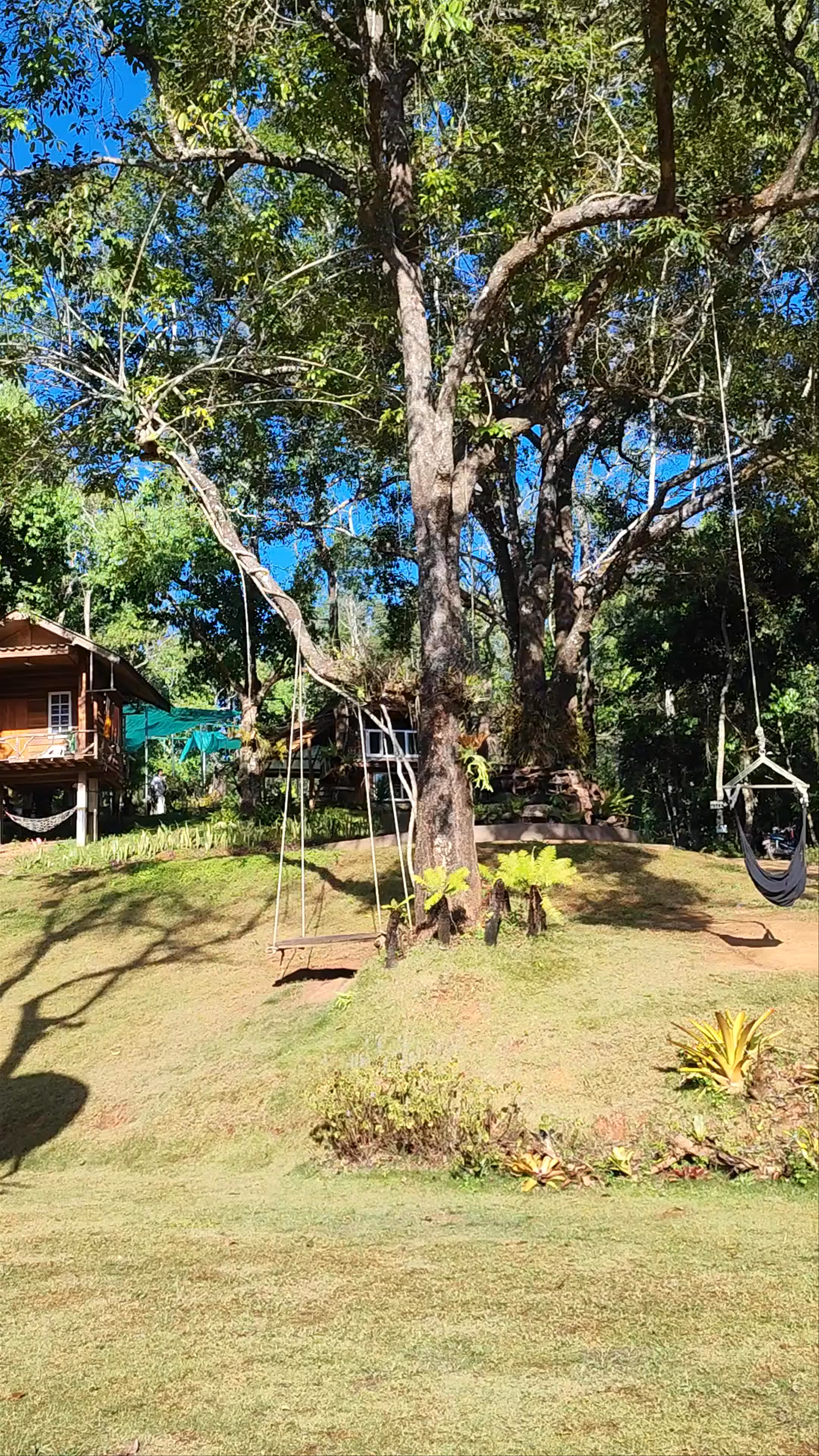 Pa Pae Meditation Retreat: A Serene Escape in Chiang Mai’s Lush Highlands