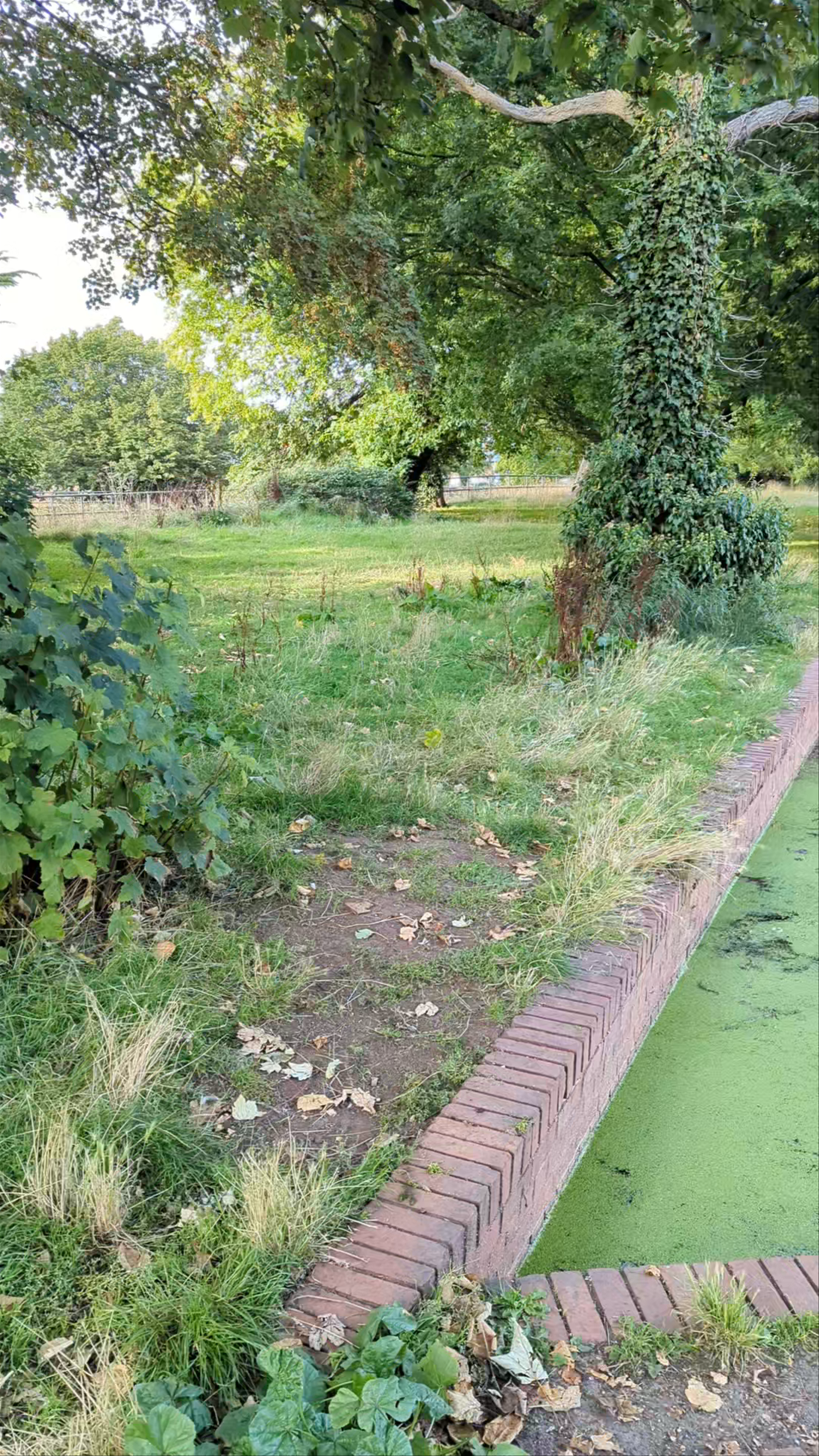 Phear Park