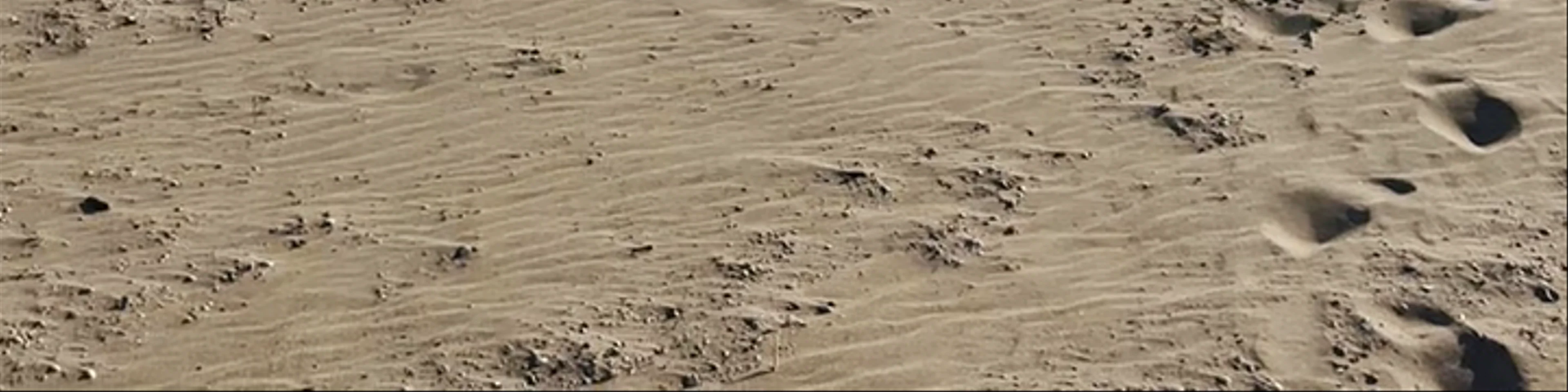 Strand Noordwijk Aan Zee
