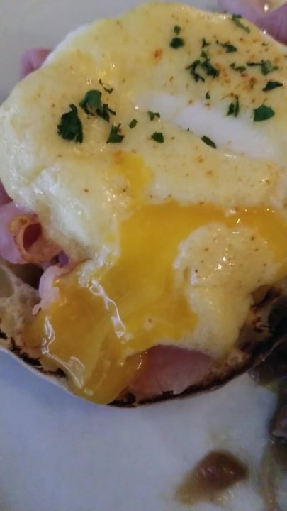 Elephant & Castle - #yolkporn - Pubs Near Me - Boston, Massachusetts