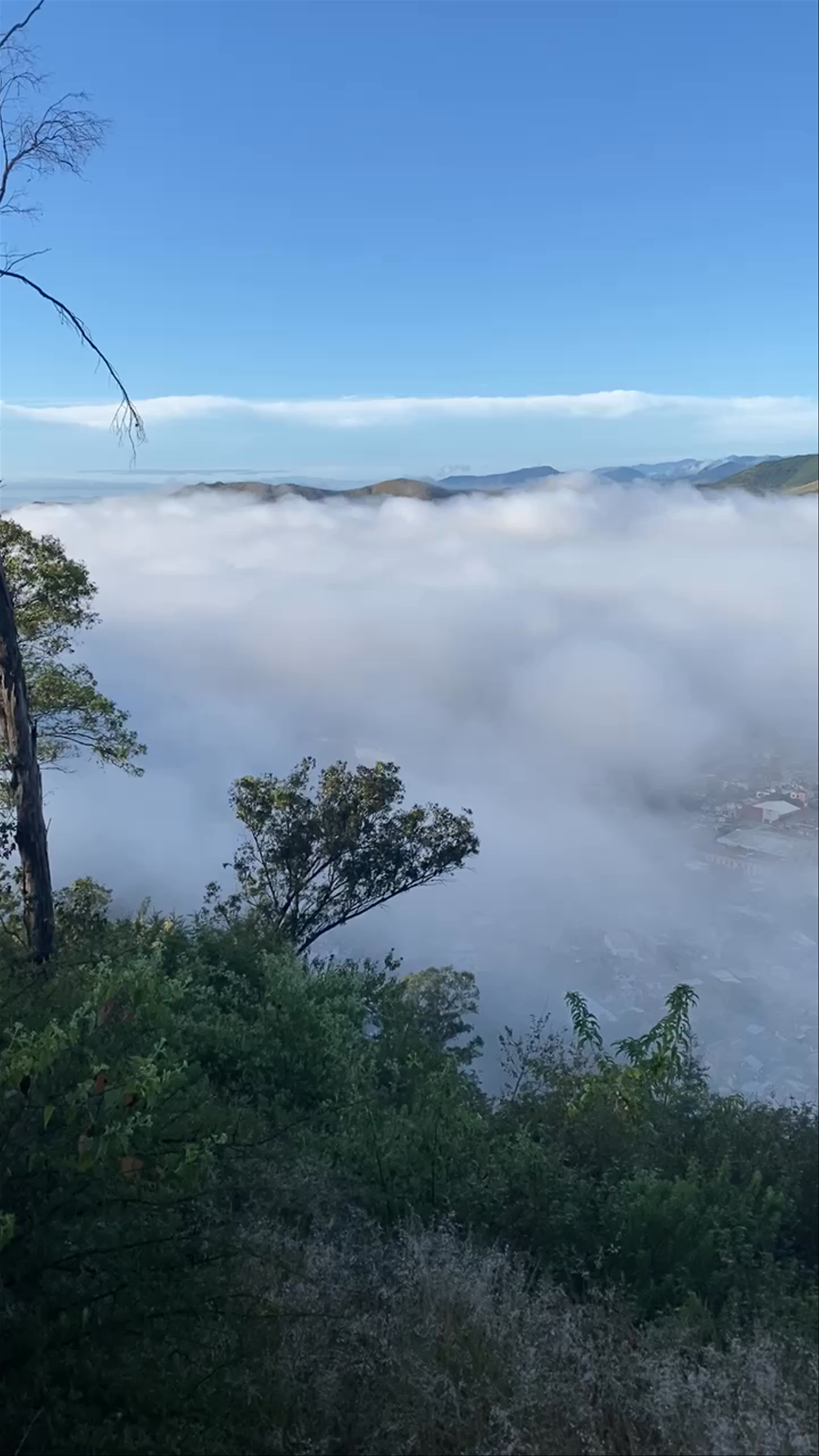Misty Morning Views from Cerro del Fortín, Oaxaca