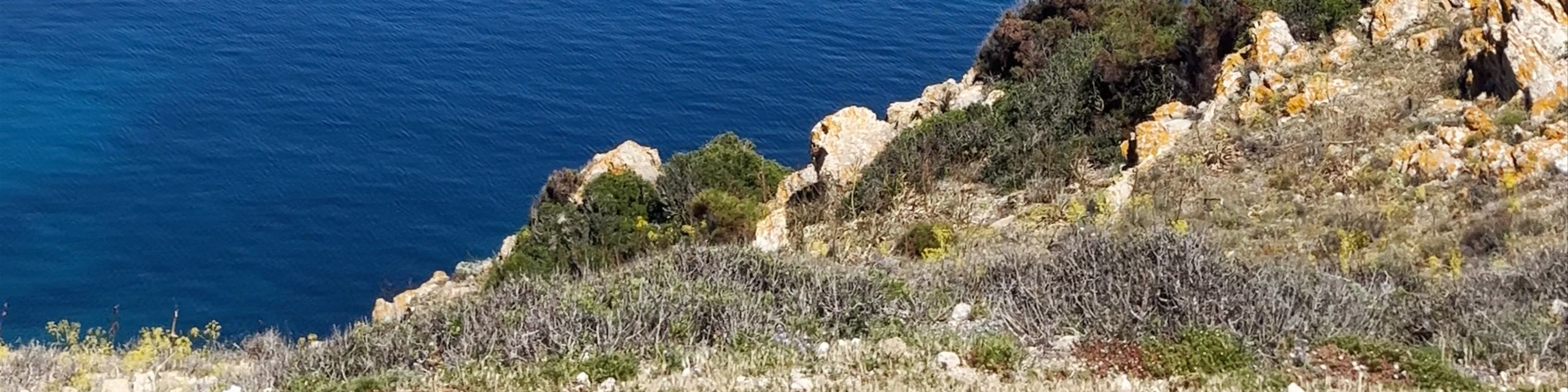 Viewing point