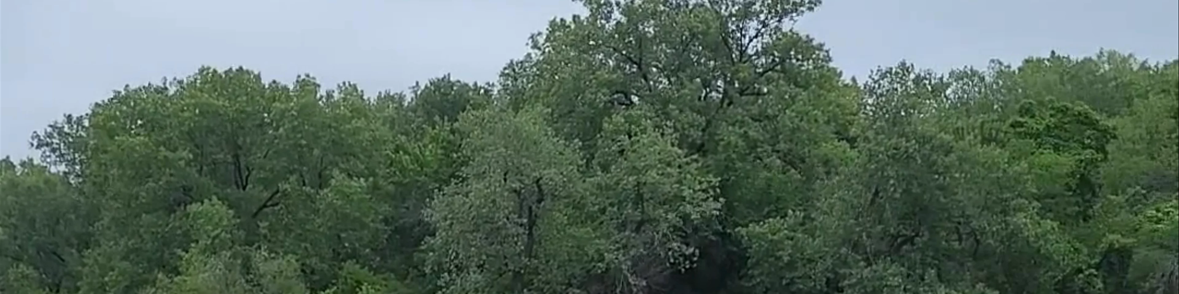 Minnehaha Park