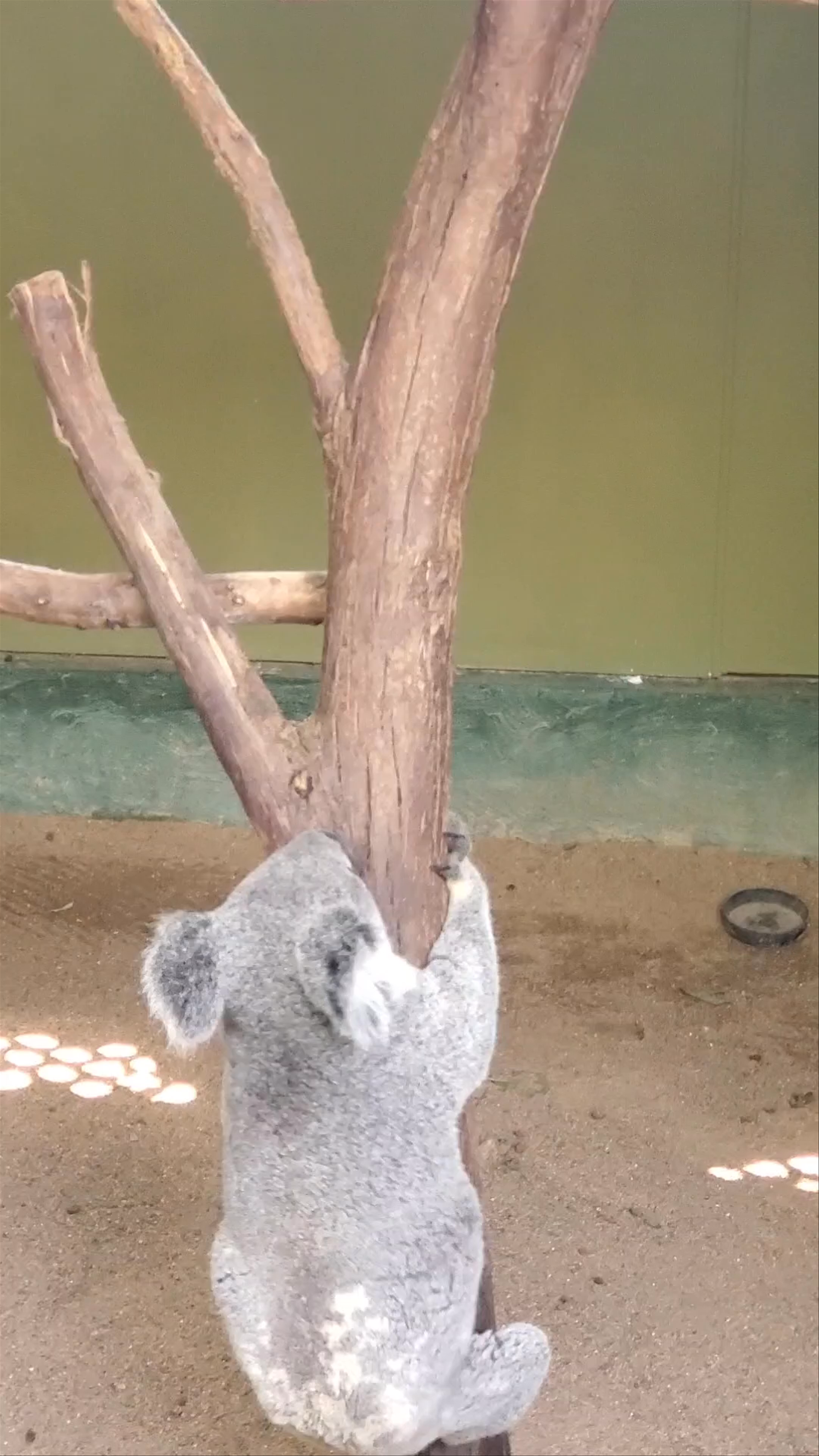 Featherdale Sydney Wildlife Park