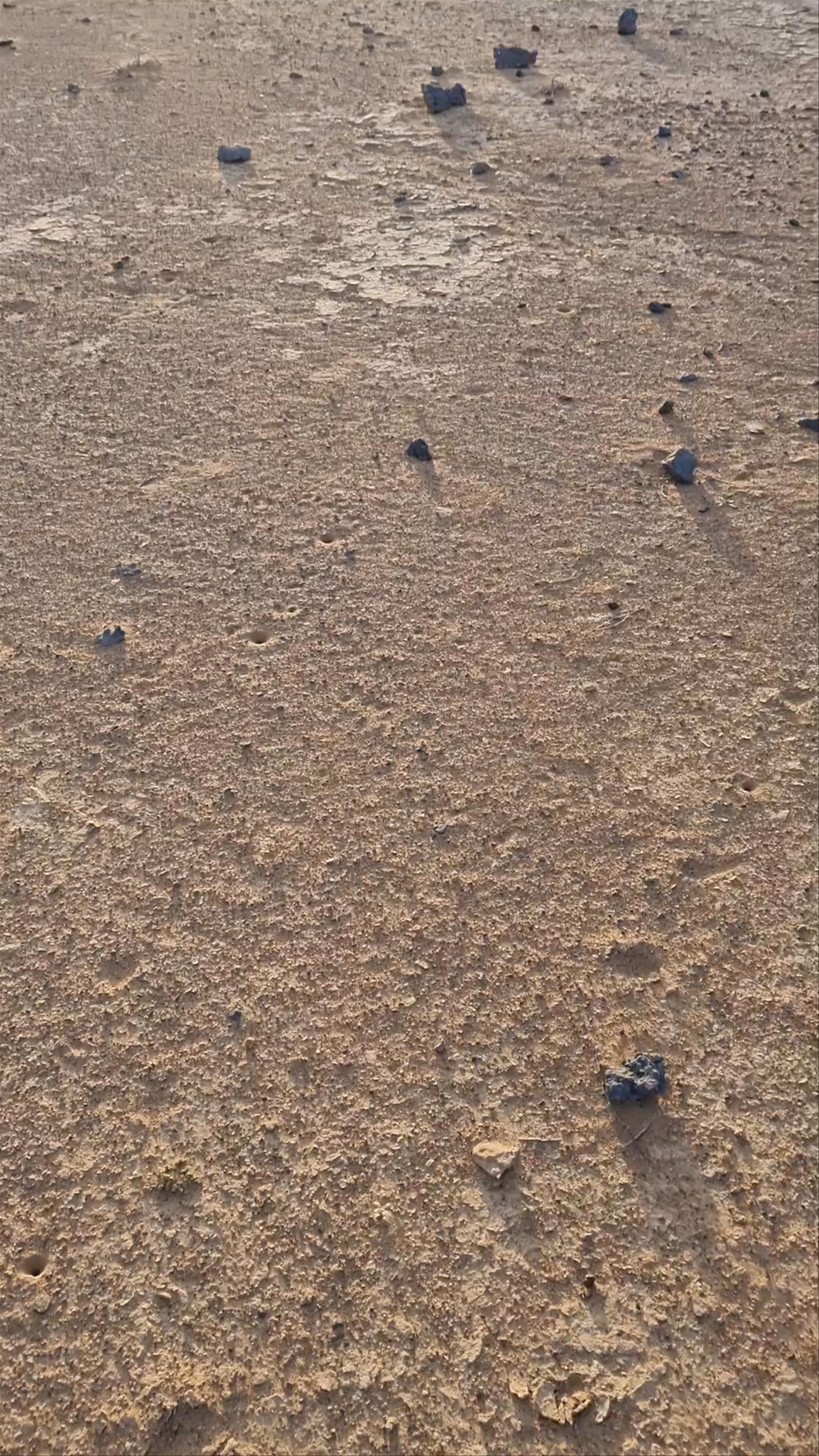 Camping Ground Nr Wadi Al Arbeieen and Dayqah Dam