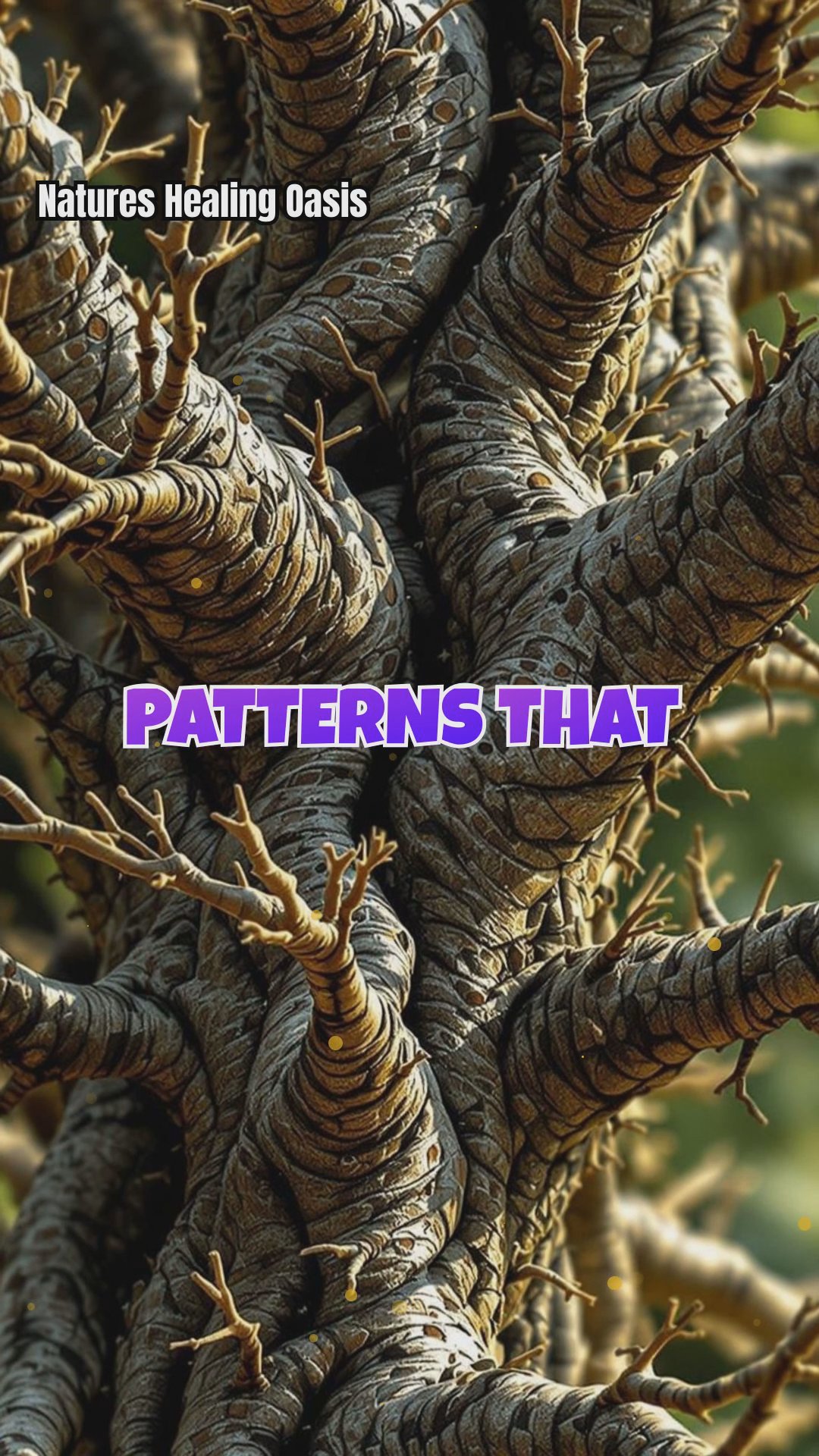 Sacred Geometry in Trees: How Fractals Shape Our Emotions