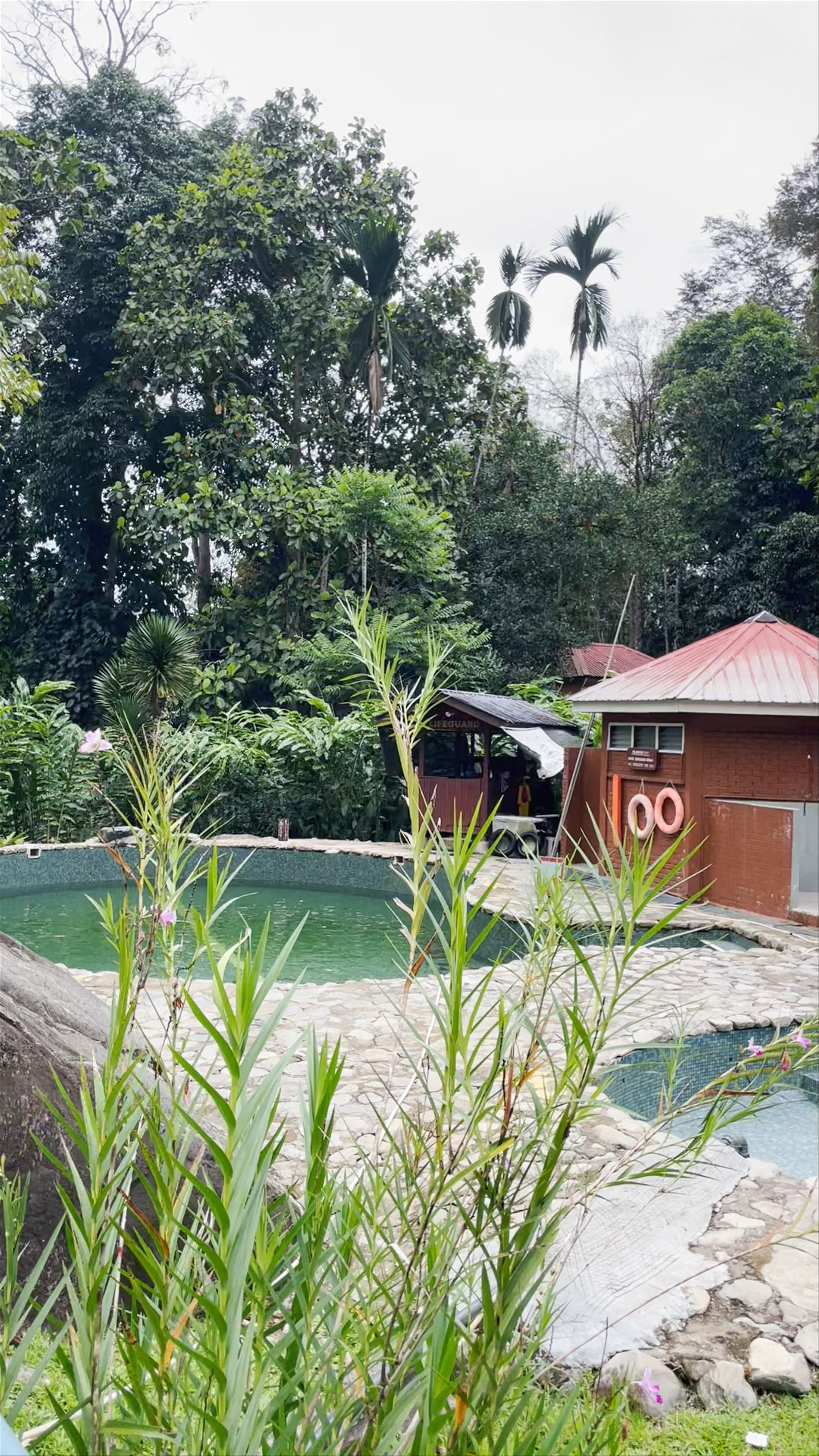 Poring Hot Springs Substation, Kinabalu Park