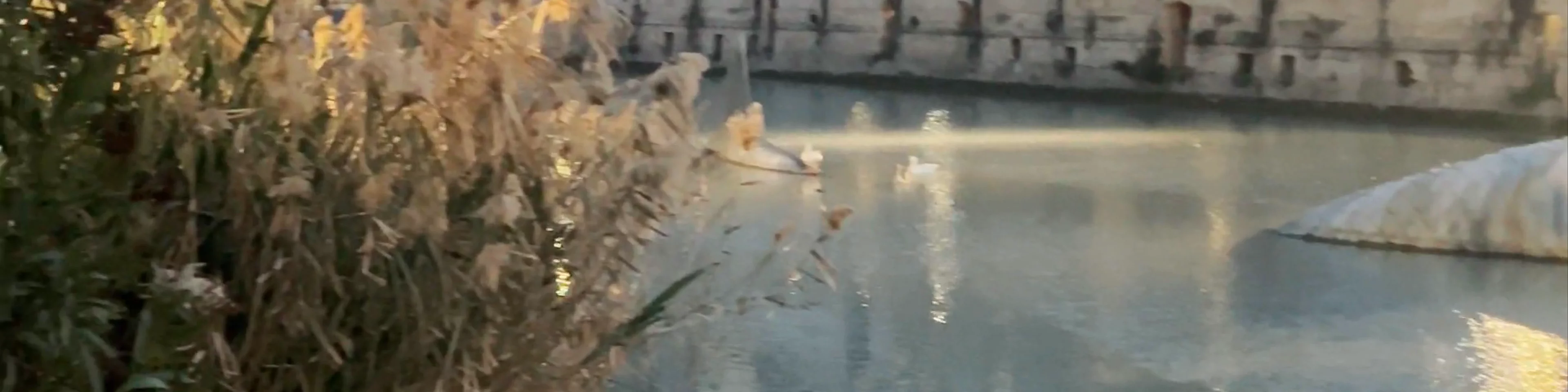El Tío de la Barca