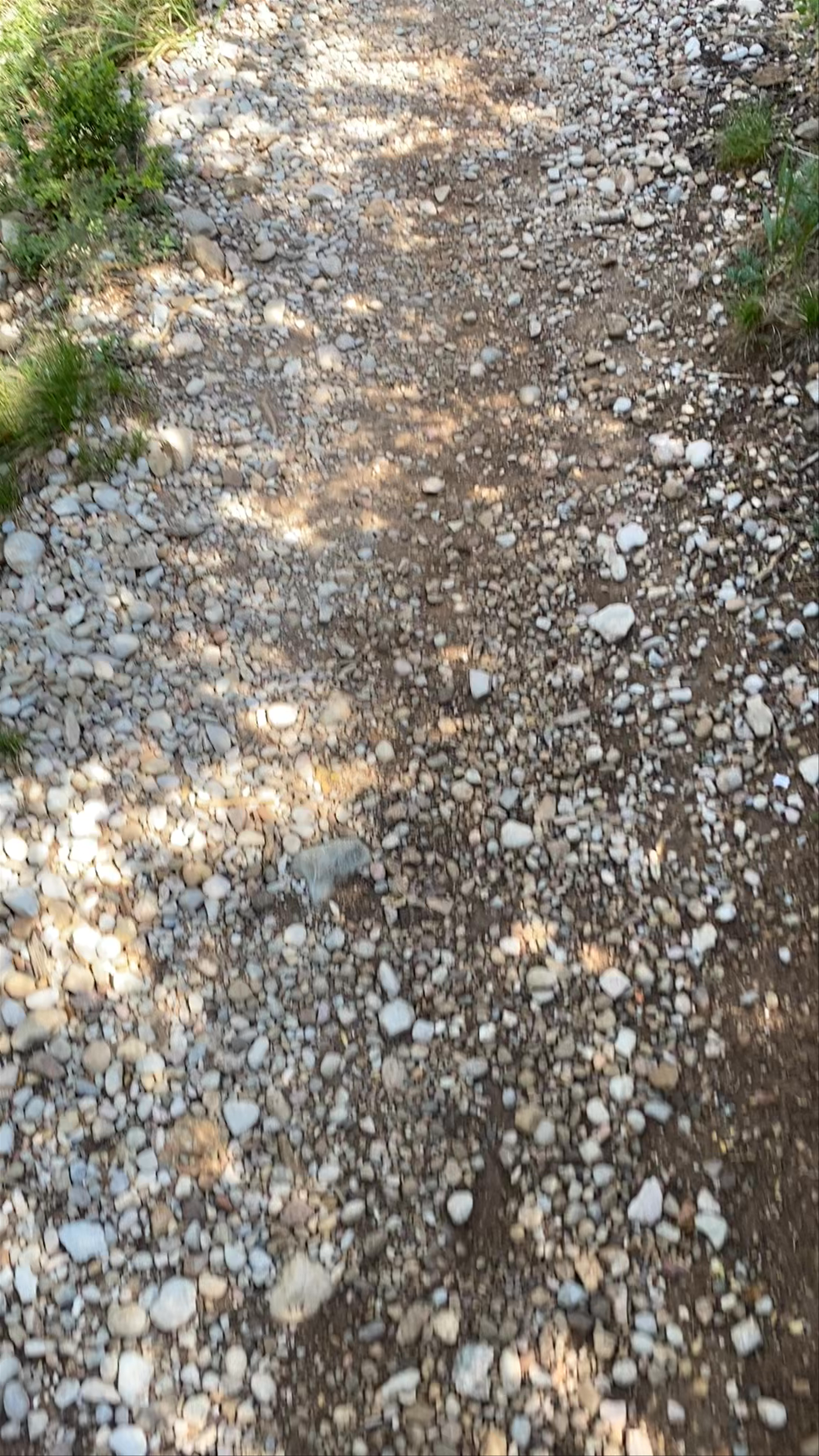 Parque Natural de la Montaña de Montserrat