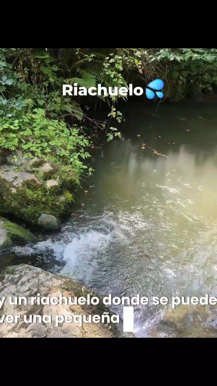 Vídeo UGC 4 de Tania