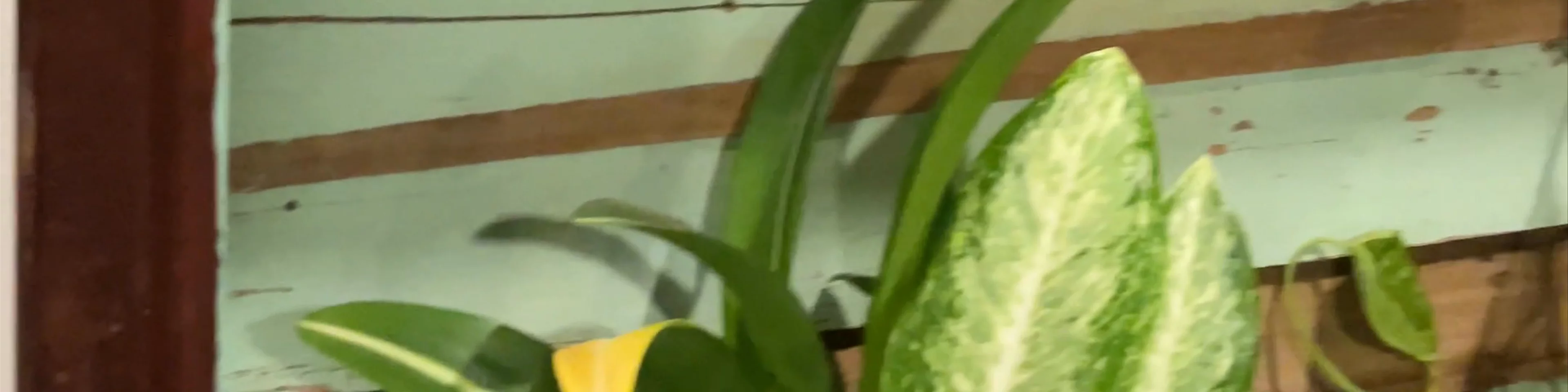 Na's Kitchen