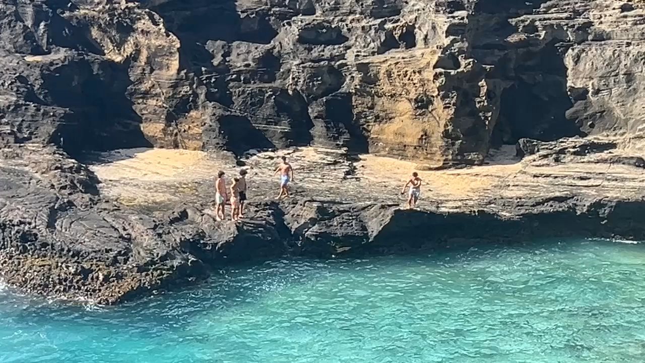 Hawaii Turtle Tours - Tours Near Me - Honolulu, Hawaii