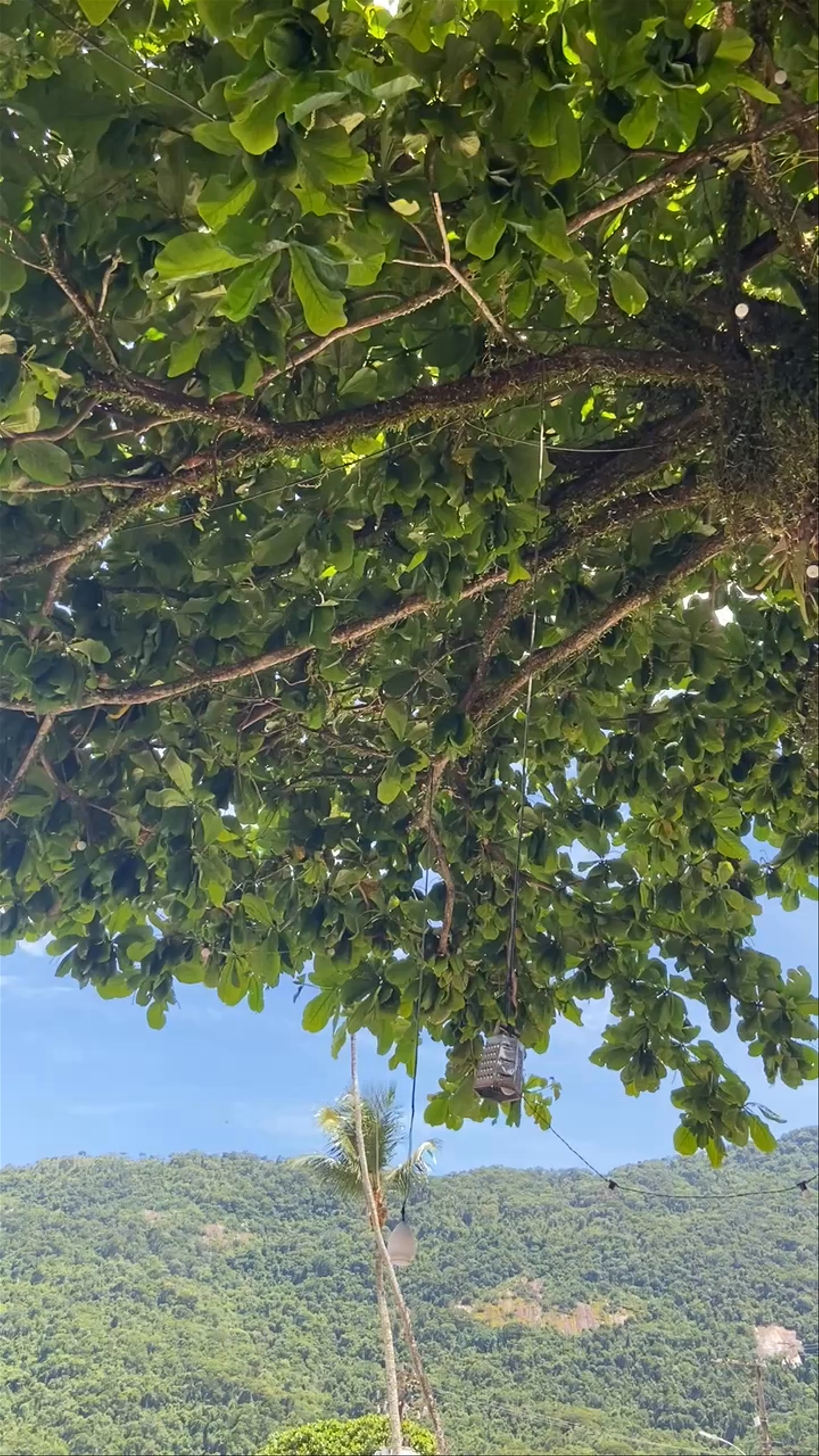 Ateliê Cafeteria - Rua da Praia - Vila do Abraão