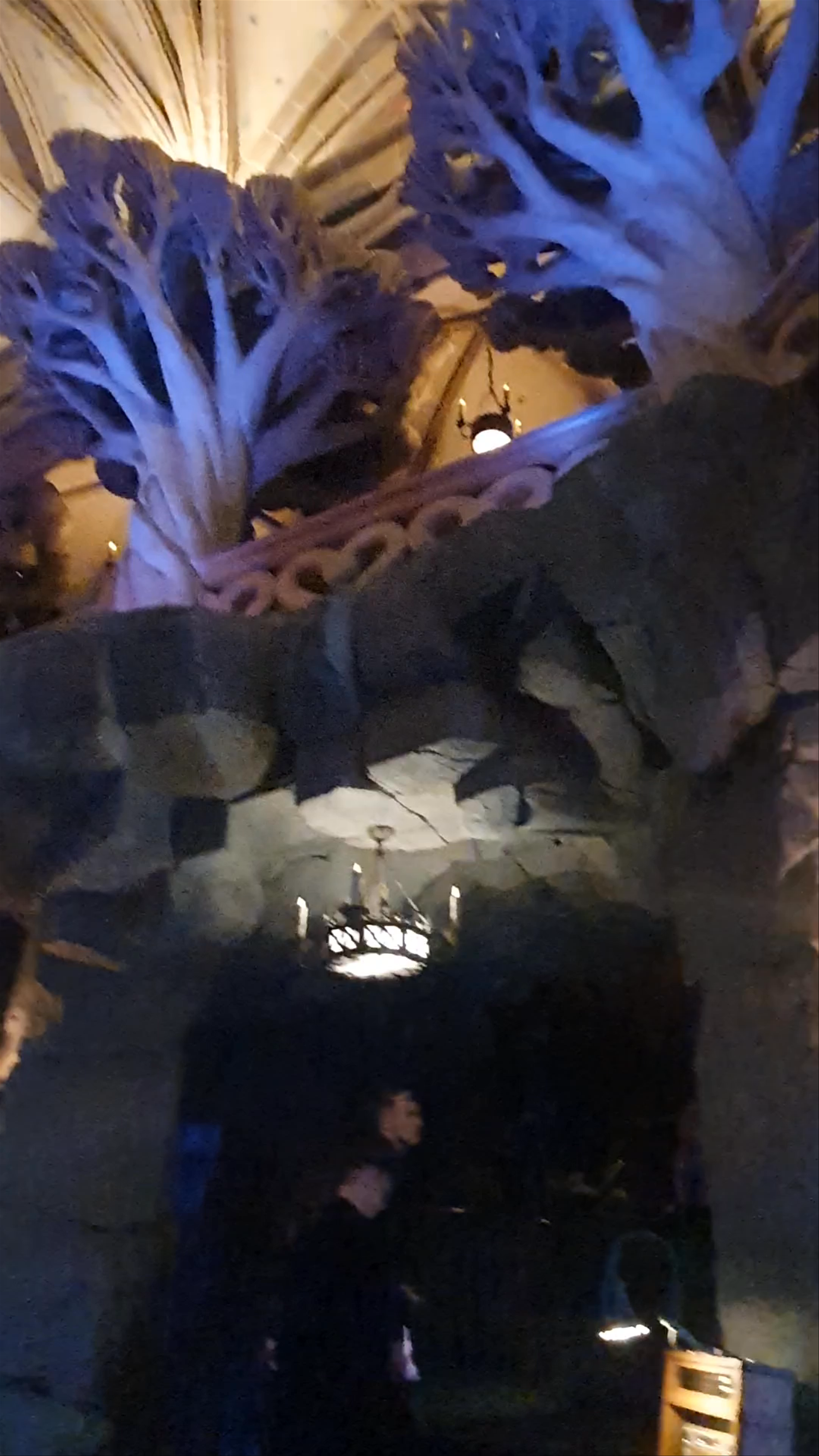 Disneyland Paris