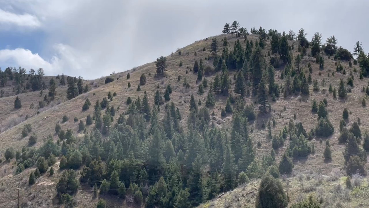 Colorado Mountain - Art Galleries Near Me - Georgetown, Colorado