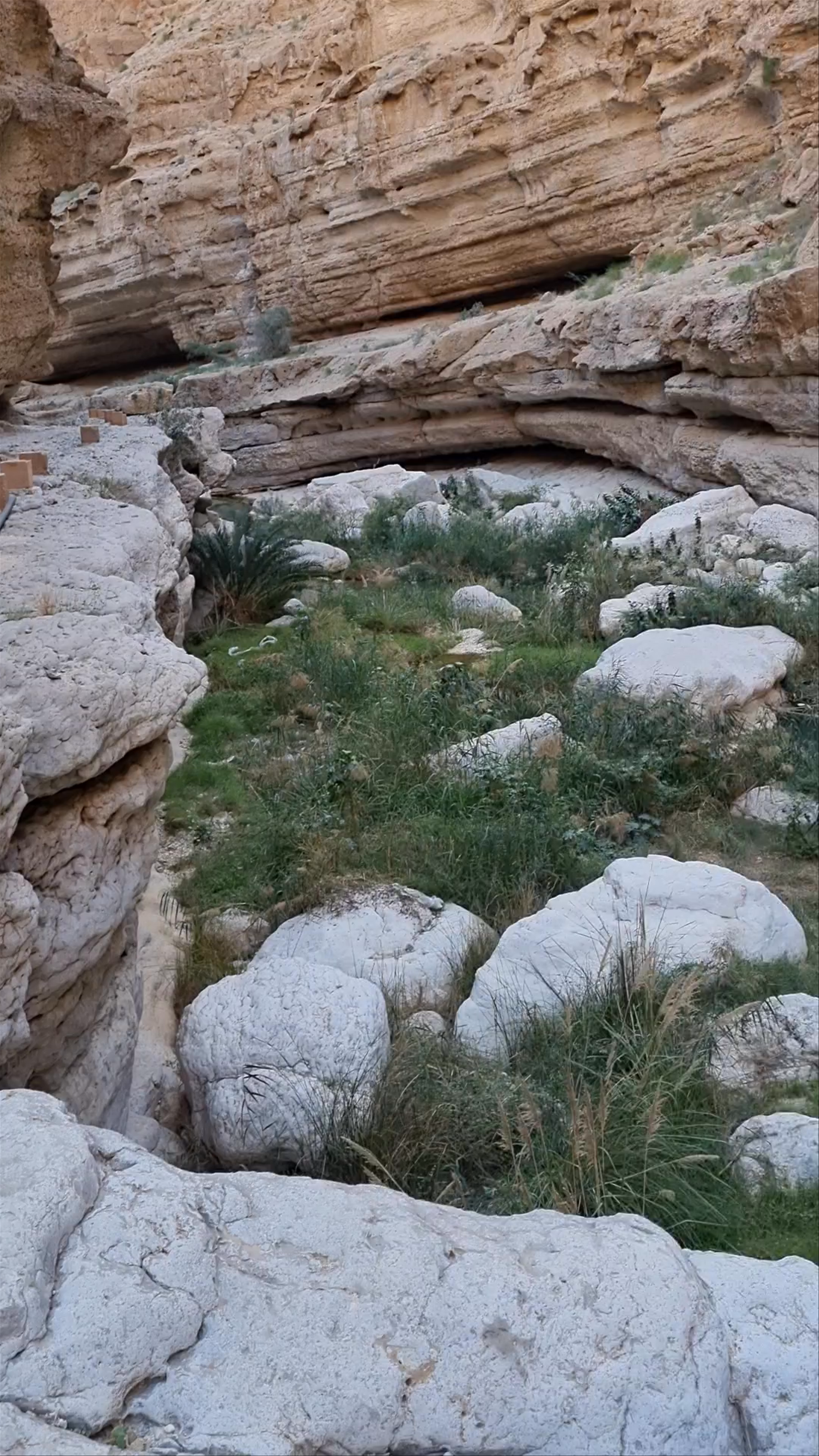 Wadi Shab