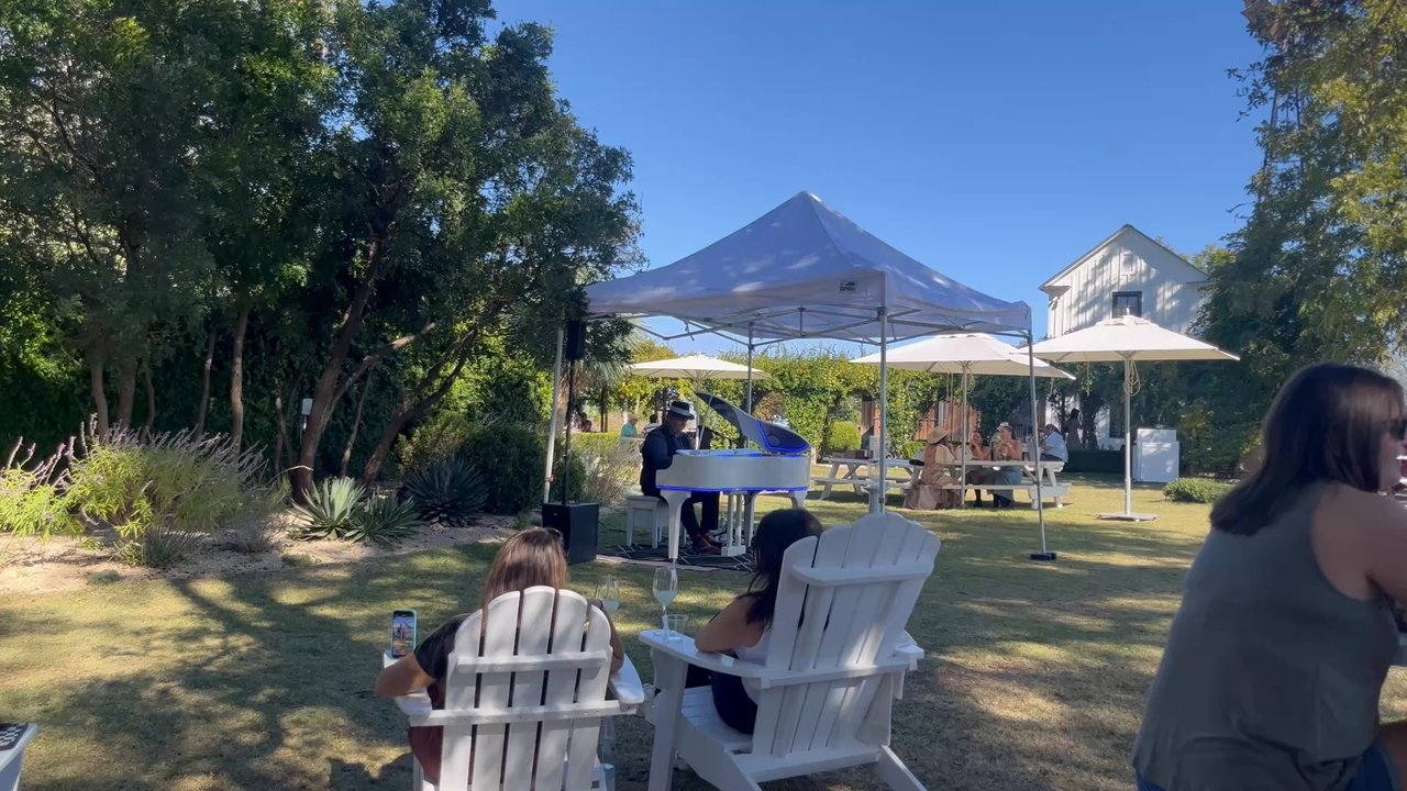 Signor Vineyards - Live pianist - Wine Tasting Room Near Me - Fredericksburg, Texas