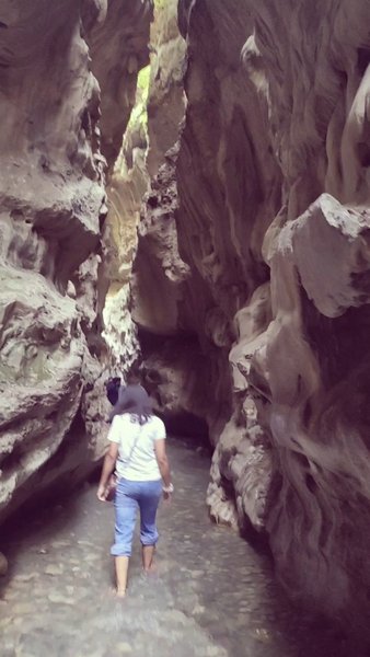 Photo of Gucchu pani/Robber's