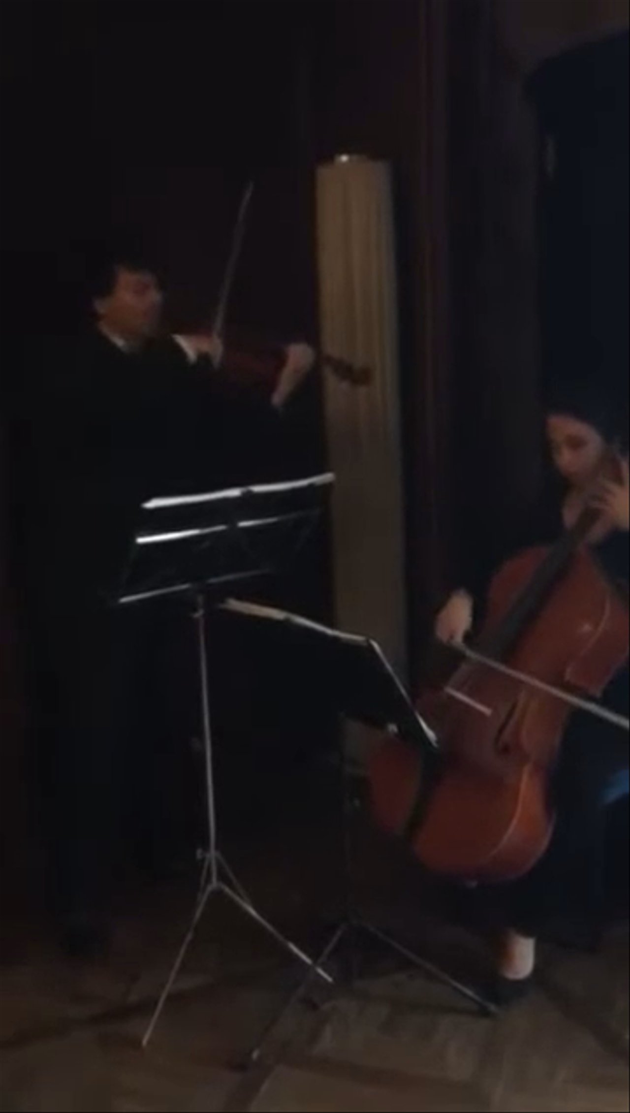 The Florence String Quartet – Duo - video