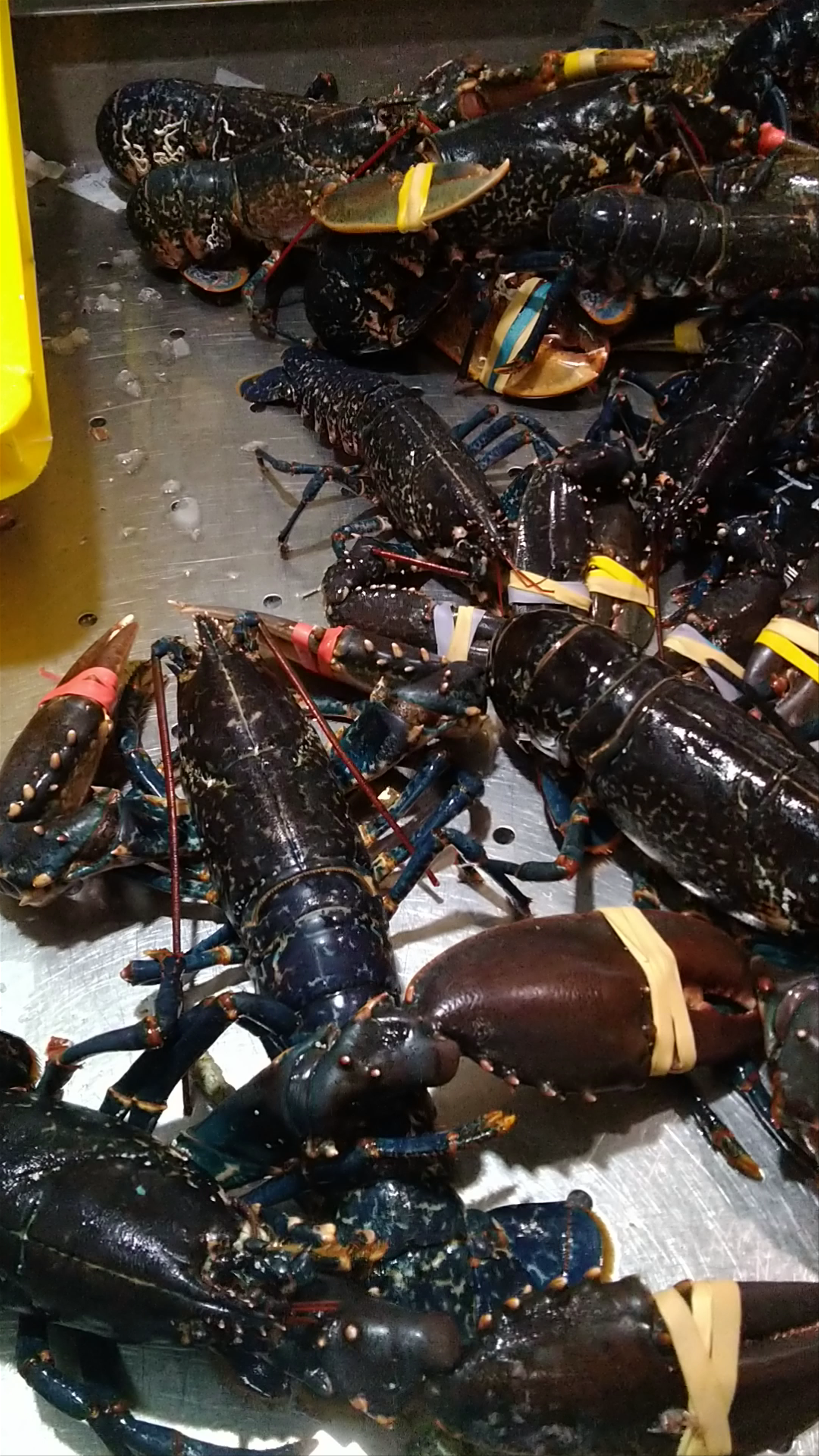 La Baule Indoor Market