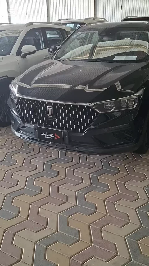 فاو بيستون تي77 ديلوكس 2021