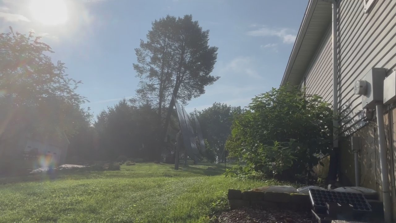 Upland Timber Tree Service - Last one down - Tree Services Near Me