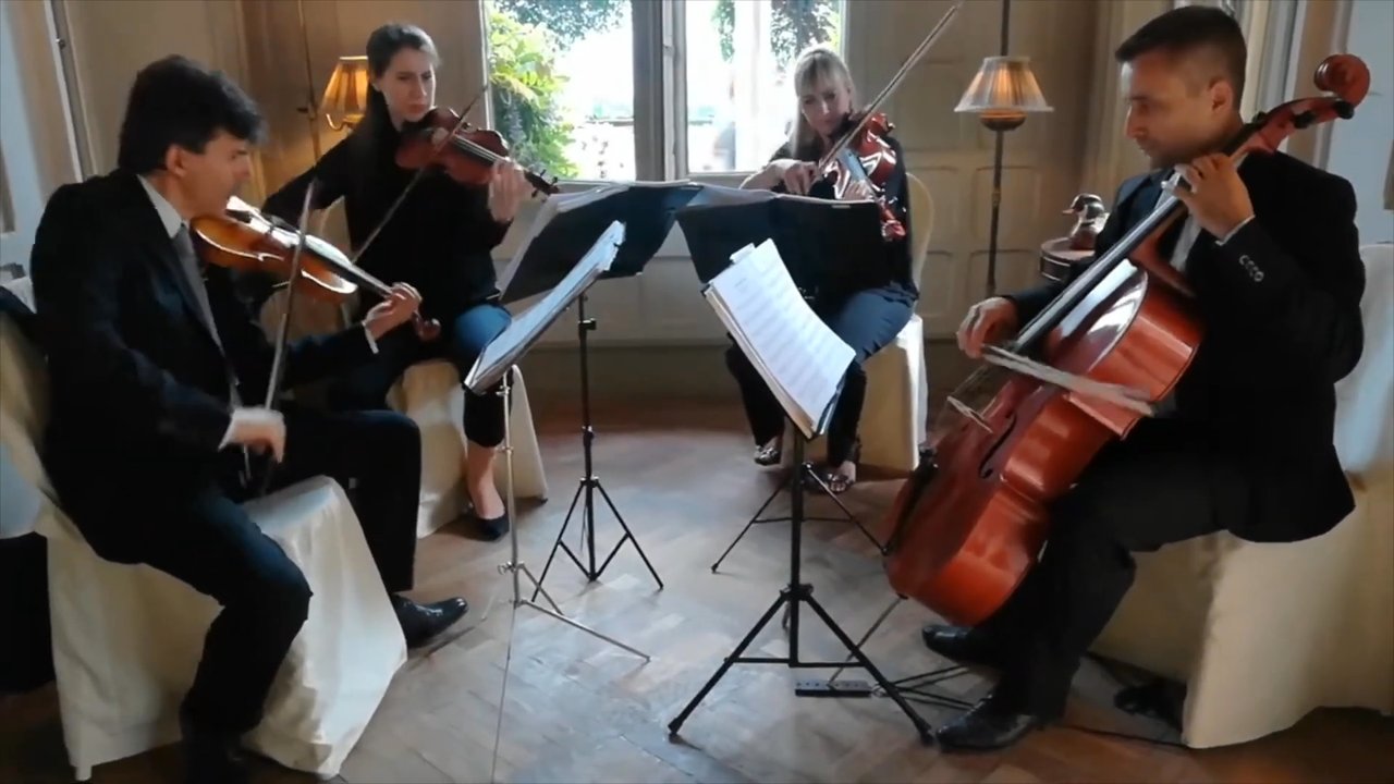 The Florence String Quartet - All The Small Things 2026 - video