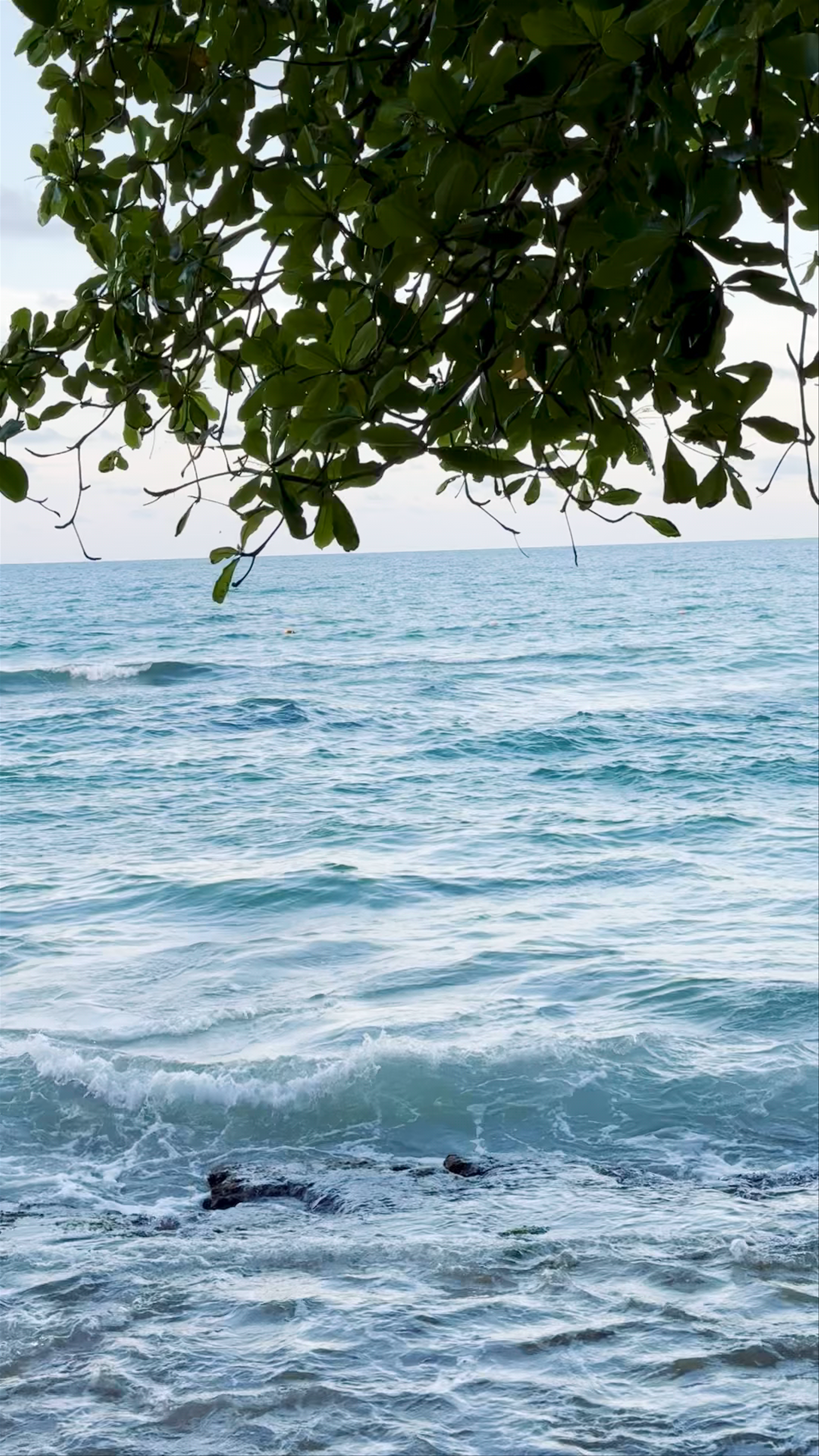 Playa Chiquita