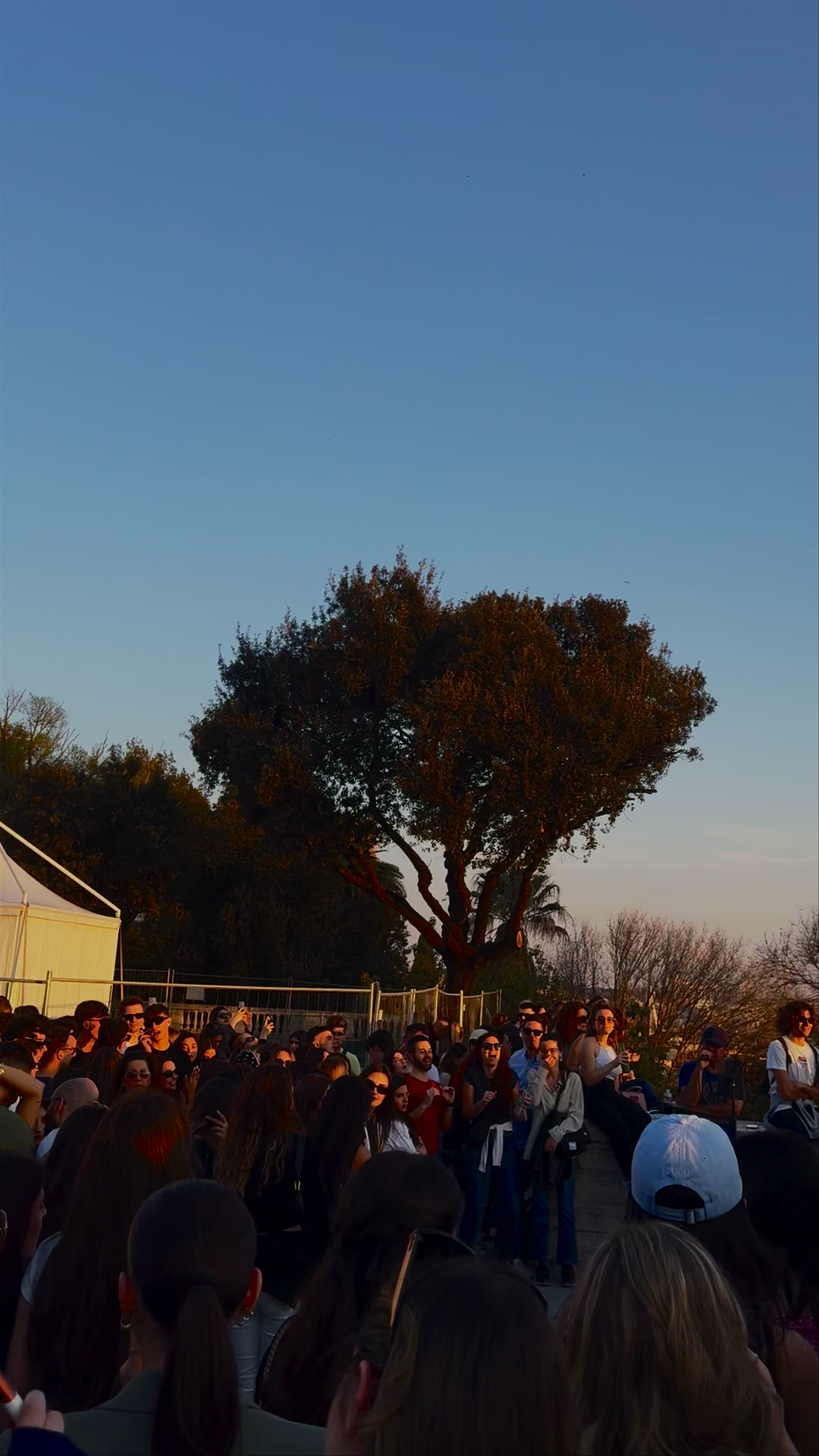 Sunset Social Gathering at Pincio Terrace, Rome
