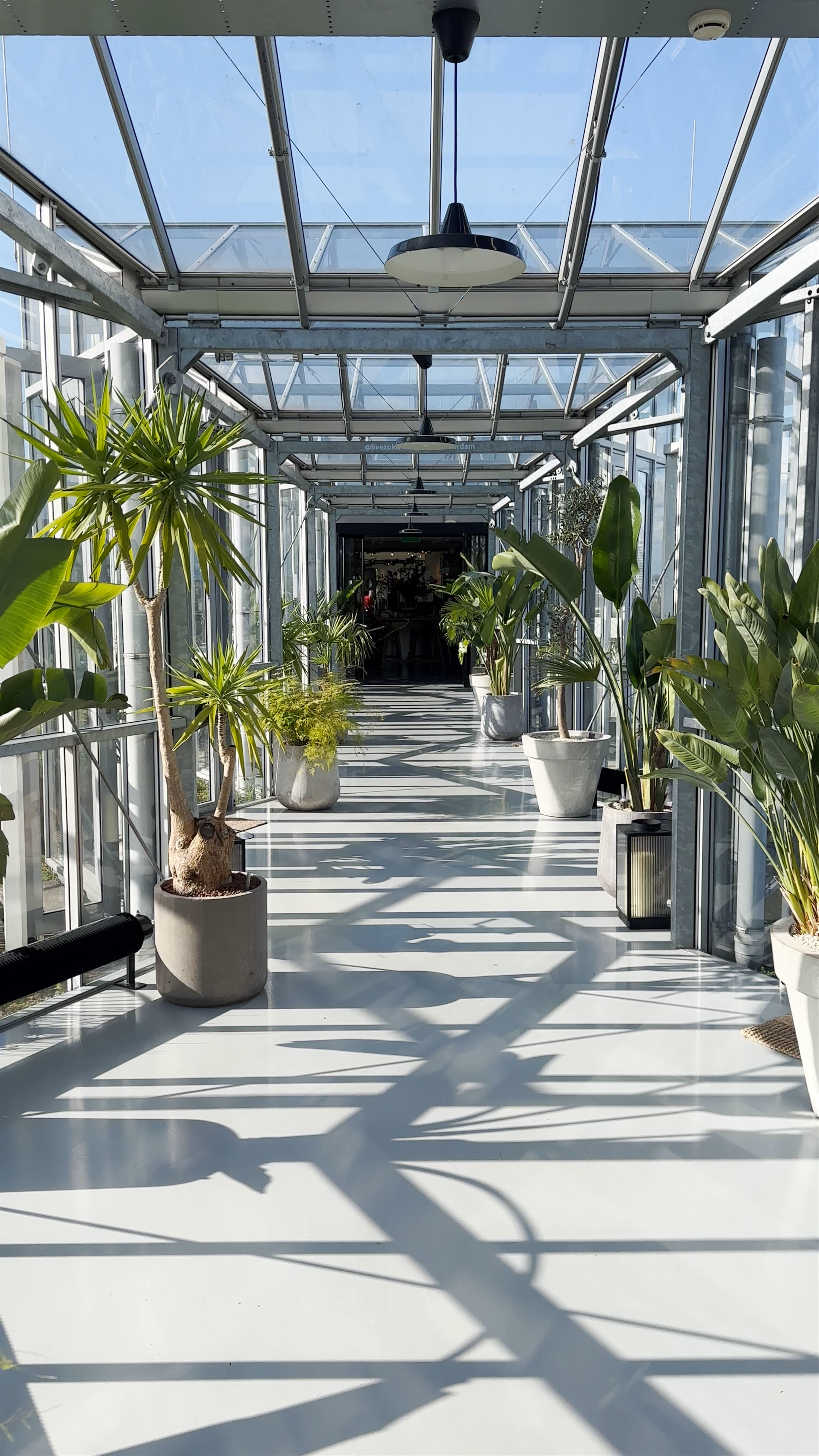 Sunlit Glass Corridor with Lush Green Plants at Zoku Amsterdam