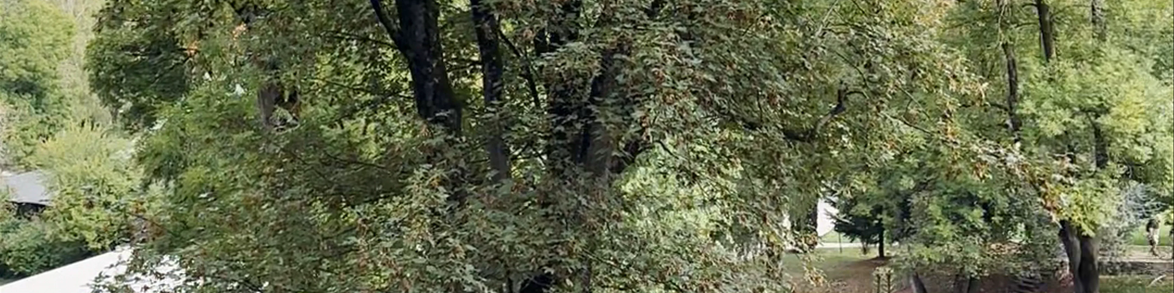 Parcul Regal al Castelului Bran