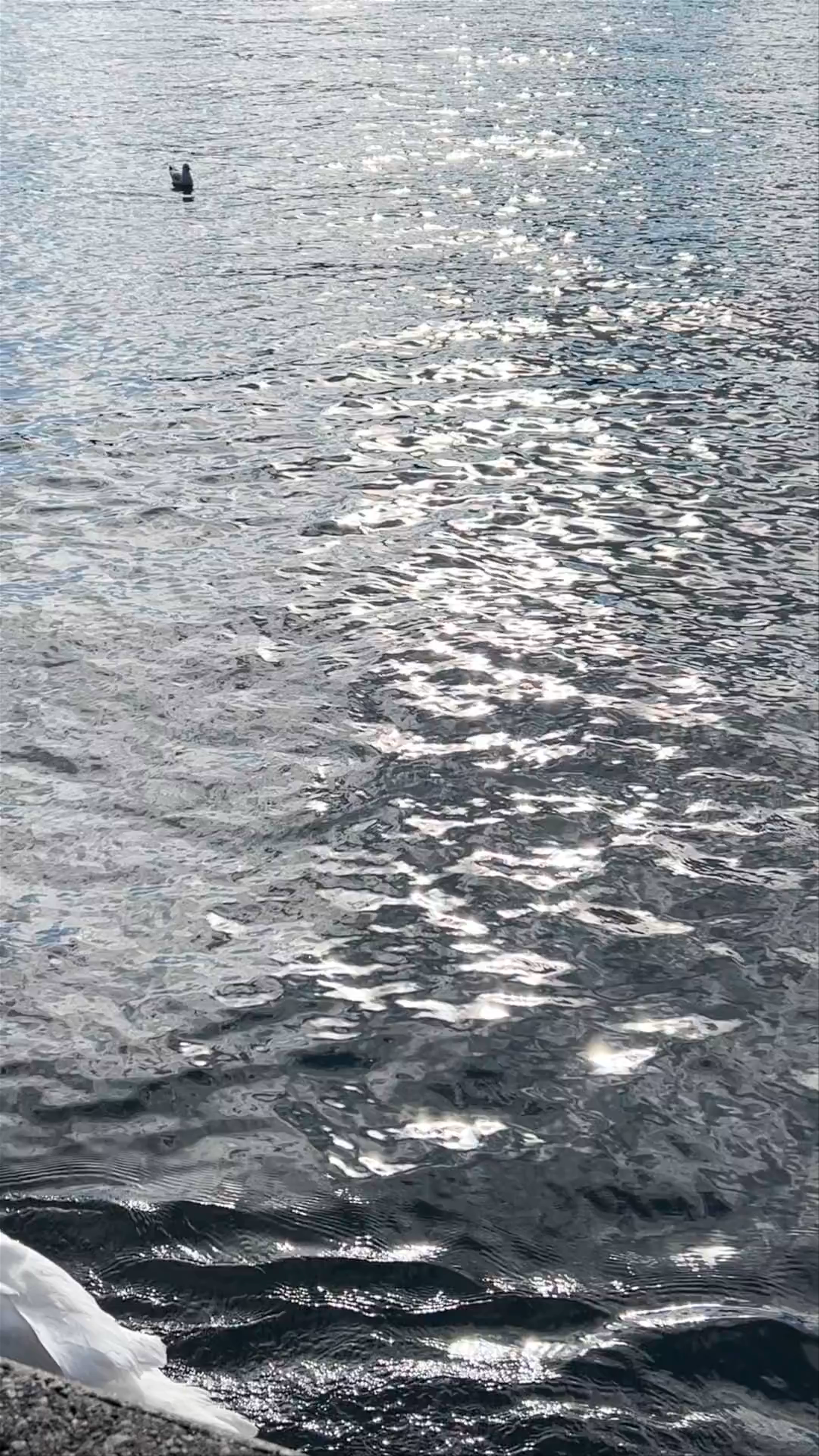 Zürichsee