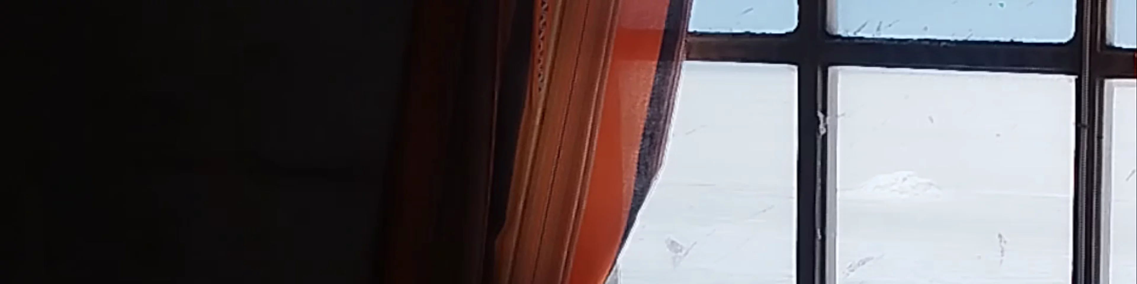 Comedor De Sal