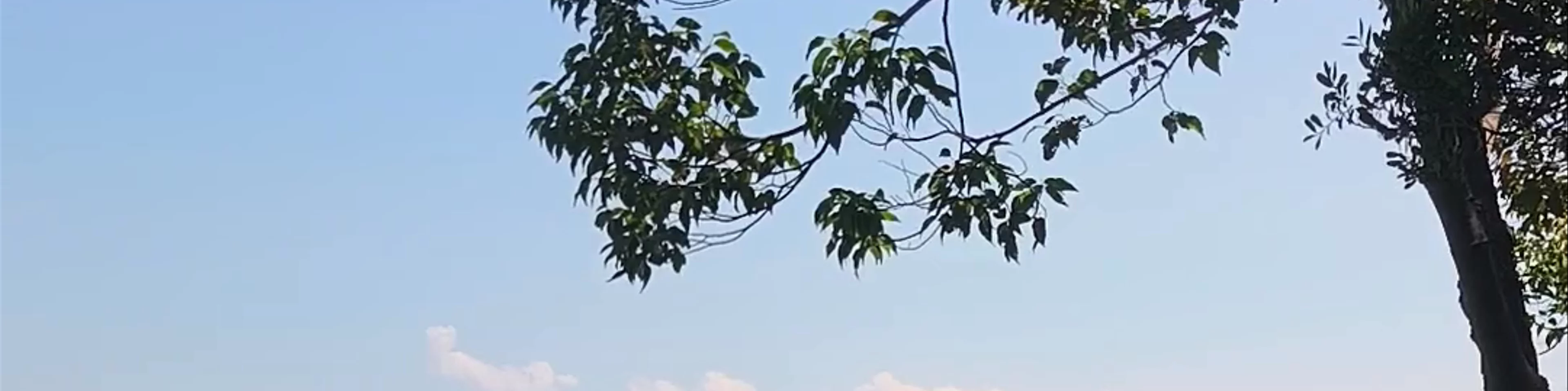 Than Bok Khorani National Park