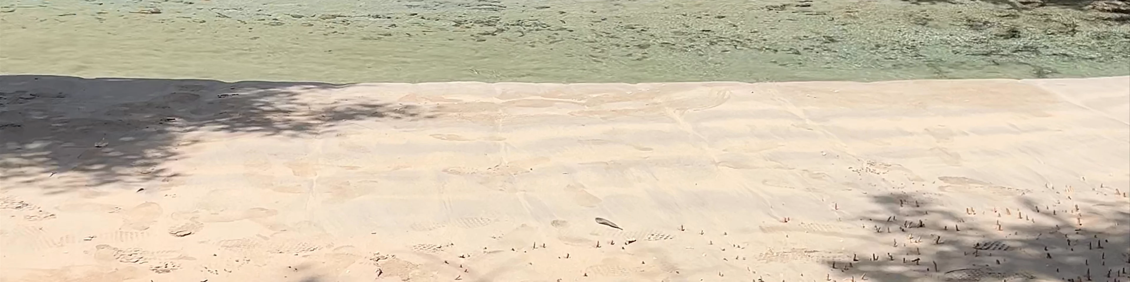 El Estero