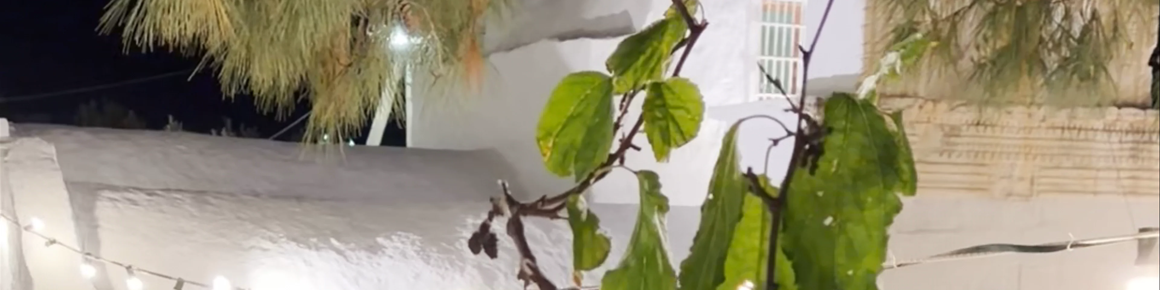 Ιερός Ναός Αγίας Τριάδος
