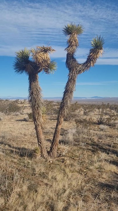 Phacelia Wildlife Sanctuary - Hiking Near Me - Lancaster, California